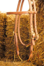 Kopfst�ck Premium harness